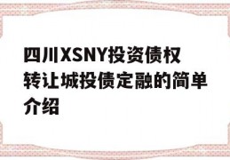 四川XSNY投资债权转让城投债定融的简单介绍