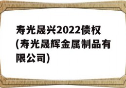 寿光晟兴2022债权(寿光晟辉金属制品有限公司)