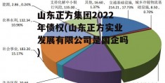 山东正方集团2022年债权(山东正方实业发展有限公司是国企吗)