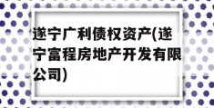 遂宁广利债权资产(遂宁富程房地产开发有限公司)