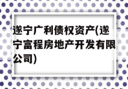 遂宁广利债权资产(遂宁富程房地产开发有限公司)