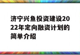 济宁兴鱼投资建设2022年定向融资计划的简单介绍