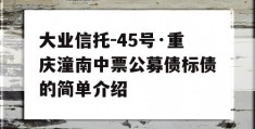 大业信托-45号·重庆潼南中票公募债标债的简单介绍