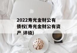 2022寿光金财公有债权(寿光金财公有资产 评级)