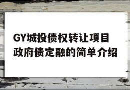 GY城投债权转让项目政府债定融的简单介绍