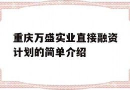 重庆万盛实业直接融资计划的简单介绍