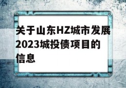 关于山东HZ城市发展2023城投债项目的信息