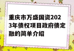 重庆市万盛国资2023年债权项目政府债定融的简单介绍