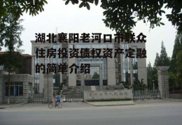 湖北襄阳老河口市联众住房投资债权资产定融的简单介绍