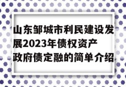 山东邹城市利民建设发展2023年债权资产政府债定融的简单介绍