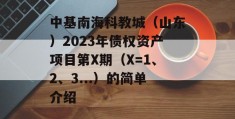 中基南海科教城（山东）2023年债权资产项目第X期（X=1、2、3...）的简单介绍