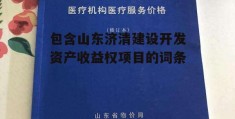 包含山东济清建设开发资产收益权项目的词条