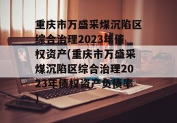 重庆市万盛采煤沉陷区综合治理2023年债权资产(重庆市万盛采煤沉陷区综合治理2023年债权资产负债率)