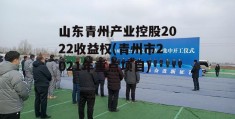 山东青州产业控股2022收益权(青州市2021年重点项目)