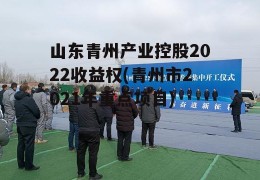 山东青州产业控股2022收益权(青州市2021年重点项目)