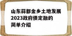 山东蒜都金乡土地发展2023政府债定融的简单介绍