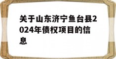 关于山东济宁鱼台县2024年债权项目的信息