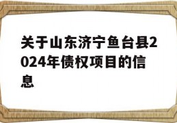 关于山东济宁鱼台县2024年债权项目的信息