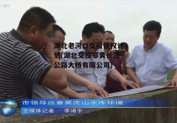 湖北老河口交投债权计划(湖北交投鄂黄长江公路大桥有限公司)