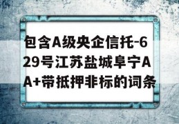 包含A级央企信托-629号江苏盐城阜宁AA+带抵押非标的词条