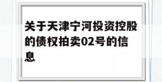 关于天津宁河投资控股的债权拍卖02号的信息