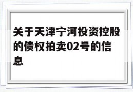 关于天津宁河投资控股的债权拍卖02号的信息