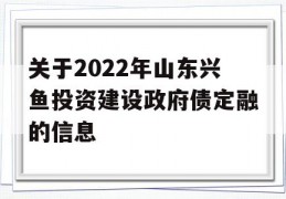 关于2022年山东兴鱼投资建设政府债定融的信息