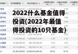 2022什么基金值得投资(2022年最值得投资的10只基金)