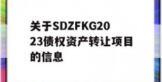 关于SDZFKG2023债权资产转让项目的信息