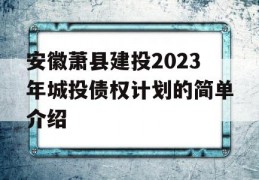 安徽萧县建投2023年城投债权计划的简单介绍