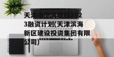 天津市宁河建投2023融资计划(天津滨海新区建设投资集团有限公司)