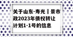 关于山东-寿光昇景市政2023年债权转让计划1-1号的信息