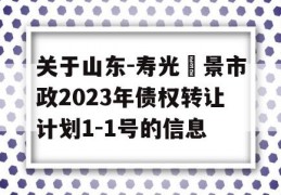 关于山东-寿光昇景市政2023年债权转让计划1-1号的信息