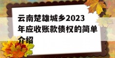 云南楚雄城乡2023年应收账款债权的简单介绍