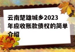 云南楚雄城乡2023年应收账款债权的简单介绍