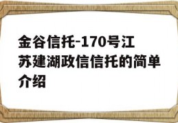 金谷信托-170号江苏建湖政信信托的简单介绍