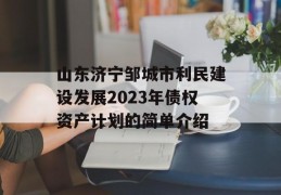 山东济宁邹城市利民建设发展2023年债权资产计划的简单介绍