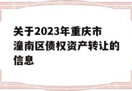 关于2023年重庆市潼南区债权资产转让的信息