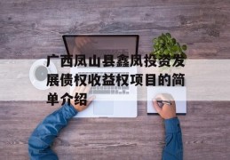 广西凤山县鑫凤投资发展债权收益权项目的简单介绍