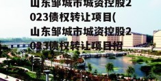 山东邹城市城资控股2023债权转让项目(山东邹城市城资控股2023债权转让项目招标)