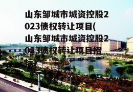 山东邹城市城资控股2023债权转让项目(山东邹城市城资控股2023债权转让项目招标)