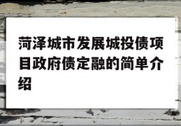 菏泽城市发展城投债项目政府债定融的简单介绍