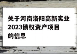 关于河南洛阳高新实业2023债权资产项目的信息