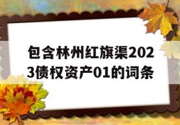 包含林州红旗渠2023债权资产01的词条