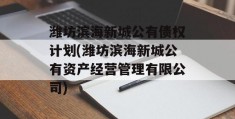 潍坊滨海新城公有债权计划(潍坊滨海新城公有资产经营管理有限公司)