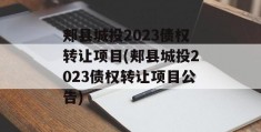 郏县城投2023债权转让项目(郏县城投2023债权转让项目公告)