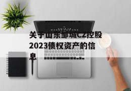 关于山东邹城CZ控股2023债权资产的信息