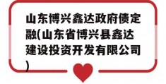 山东博兴鑫达政府债定融(山东省博兴县鑫达建设投资开发有限公司)