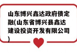 山东博兴鑫达政府债定融(山东省博兴县鑫达建设投资开发有限公司)