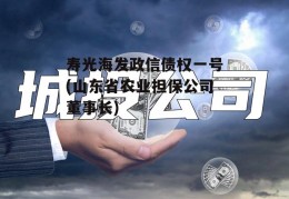 寿光海发政信债权一号(山东省农业担保公司董事长)